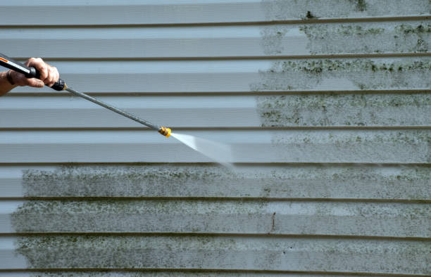 Best Professional Mold Removal  in Watts Mills, SC