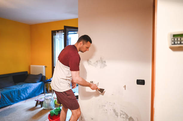 Best Commercial Mold Removal  in Watts Mills, SC